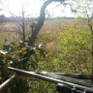 Meet your Posher, Lee